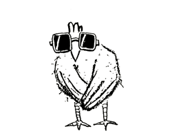 pk les poule attrappe la grippe aviaire
