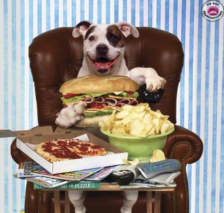 un bon repas